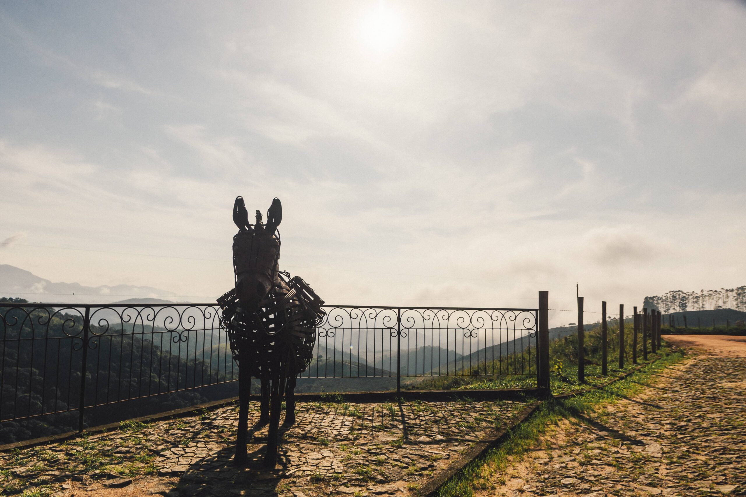 Rio Preto (6).jpg(1) (1)